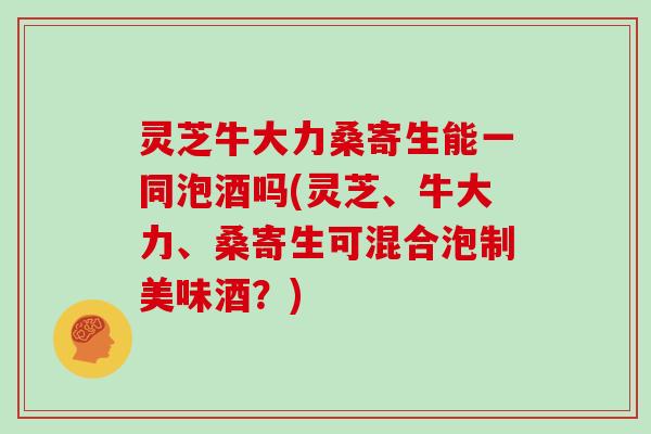 灵芝牛大力桑寄生能一同泡酒吗(灵芝、牛大力、桑寄生可混合泡制美味酒？)
