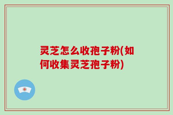 灵芝怎么收孢子粉(如何收集灵芝孢子粉)