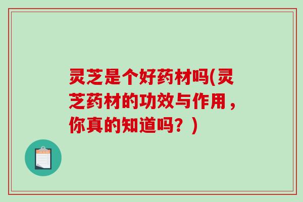 灵芝是个好药材吗(灵芝药材的功效与作用，你真的知道吗？)