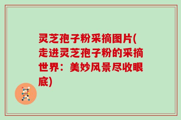 灵芝孢子粉采摘图片(走进灵芝孢子粉的采摘世界：美妙风景尽收眼底)