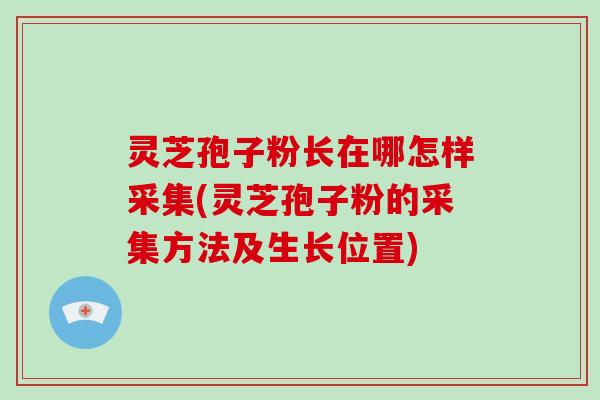 灵芝孢子粉长在哪怎样采集(灵芝孢子粉的采集方法及生长位置)