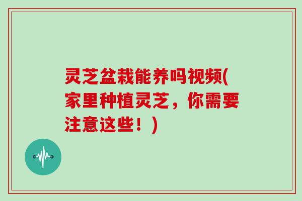 灵芝盆栽能养吗视频(家里种植灵芝，你需要注意这些！)