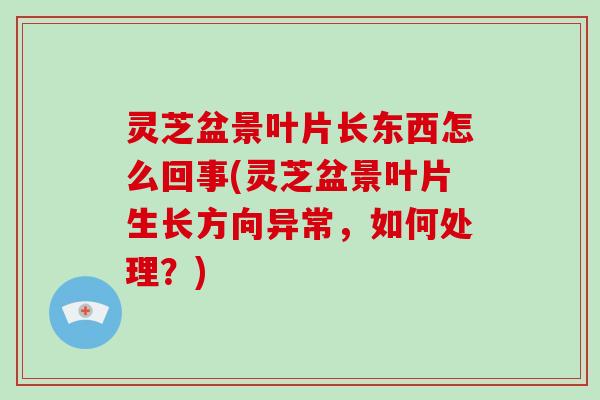 灵芝盆景叶片长东西怎么回事(灵芝盆景叶片生长方向异常，如何处理？)