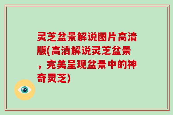 灵芝盆景解说图片高清版(高清解说灵芝盆景，完美呈现盆景中的神奇灵芝)
