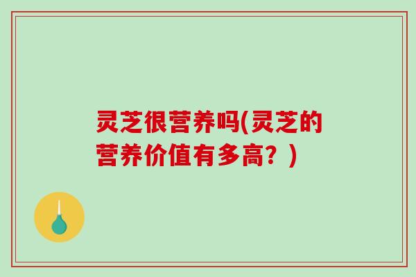 灵芝很营养吗(灵芝的营养价值有多高？)