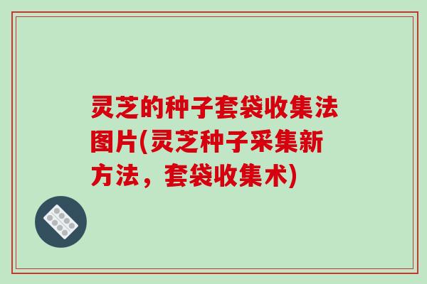 灵芝的种子套袋收集法图片(灵芝种子采集新方法，套袋收集术)