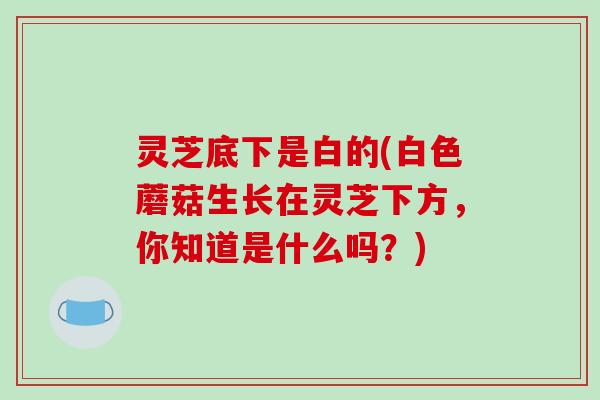 灵芝底下是白的(白色蘑菇生长在灵芝下方，你知道是什么吗？)