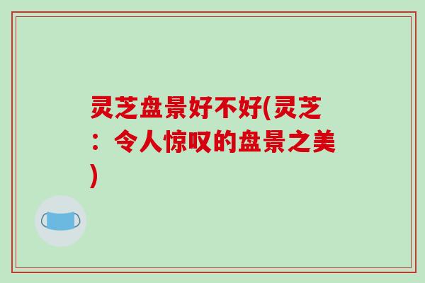 灵芝盘景好不好(灵芝：令人惊叹的盘景之美)