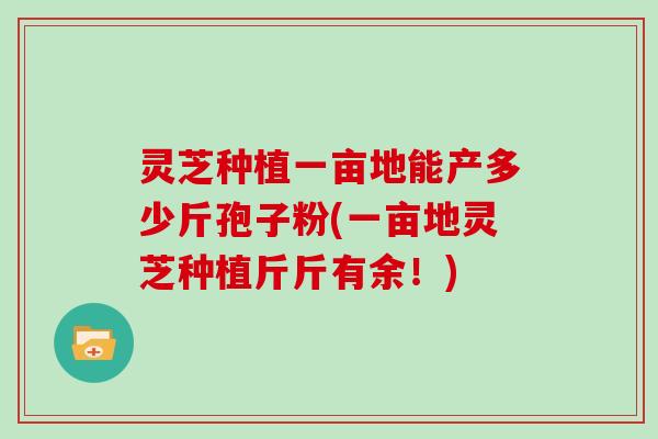 灵芝种植一亩地能产多少斤孢子粉(一亩地灵芝种植斤斤有余！)