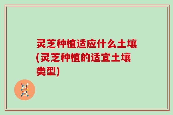 灵芝种植适应什么土壤(灵芝种植的适宜土壤类型)
