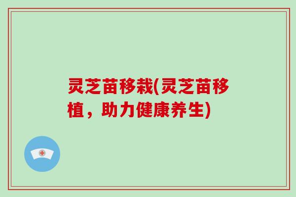 灵芝苗移栽(灵芝苗移植，助力健康养生)