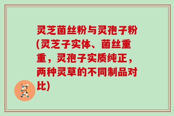 灵芝菌丝粉与灵孢子粉(灵芝子实体、菌丝重重，灵孢子实质纯正，两种灵草的不同制品对比)
