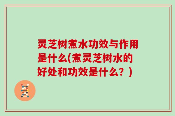 灵芝树煮水功效与作用是什么(煮灵芝树水的好处和功效是什么？)