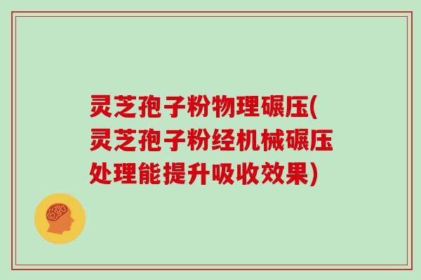 灵芝孢子粉物理碾压(灵芝孢子粉经机械碾压处理能提升吸收效果)