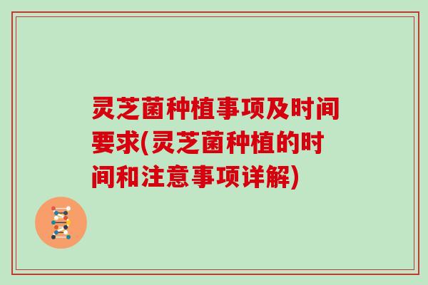 灵芝菌种植事项及时间要求(灵芝菌种植的时间和注意事项详解)