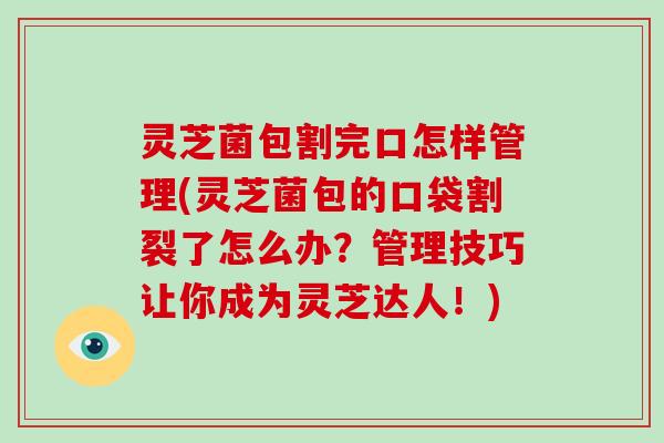 灵芝菌包割完口怎样管理(灵芝菌包的口袋割裂了怎么办？管理技巧让你成为灵芝达人！)