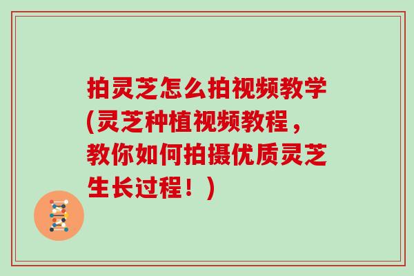 拍灵芝怎么拍视频教学(灵芝种植视频教程，教你如何拍摄优质灵芝生长过程！)