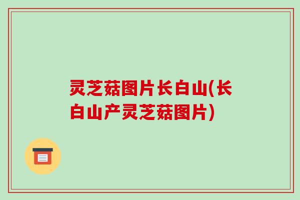 灵芝菇图片长白山(长白山产灵芝菇图片)