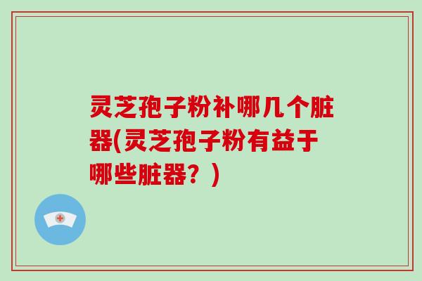 灵芝孢子粉补哪几个脏器(灵芝孢子粉有益于哪些脏器？)