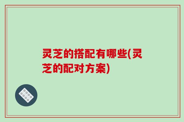 灵芝的搭配有哪些(灵芝的配对方案)