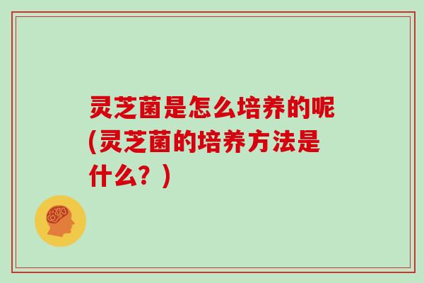 灵芝菌是怎么培养的呢(灵芝菌的培养方法是什么？)