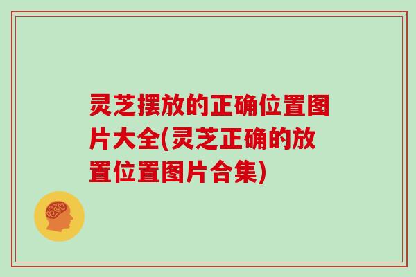 灵芝摆放的正确位置图片大全(灵芝正确的放置位置图片合集)