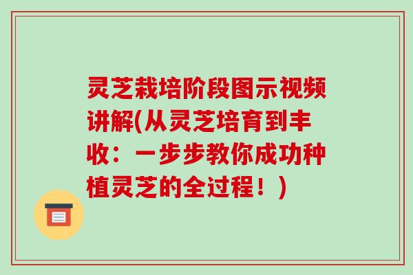 灵芝栽培阶段图示视频讲解(从灵芝培育到丰收：一步步教你成功种植灵芝的全过程！)