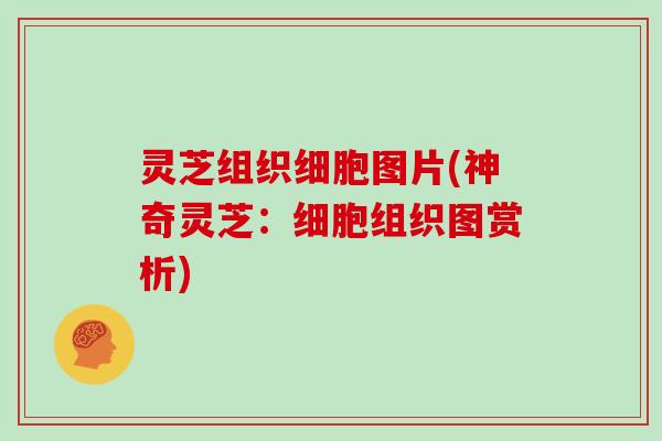 灵芝组织细胞图片(神奇灵芝：细胞组织图赏析)