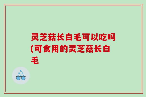 灵芝菇长白毛可以吃吗(可食用的灵芝菇长白毛