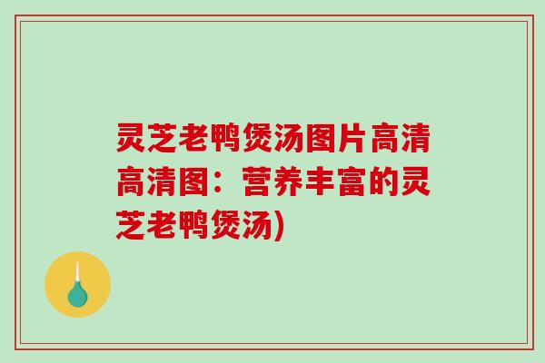 灵芝老鸭煲汤图片高清高清图：营养丰富的灵芝老鸭煲汤)