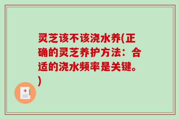 灵芝该不该浇水养(正确的灵芝养护方法：合适的浇水频率是关键。)