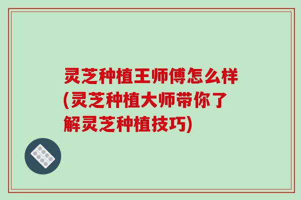 灵芝种植王师傅怎么样(灵芝种植大师带你了解灵芝种植技巧)