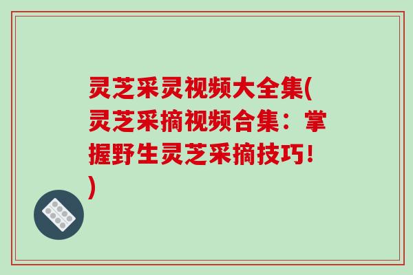 灵芝采灵视频大全集(灵芝采摘视频合集：掌握野生灵芝采摘技巧！)