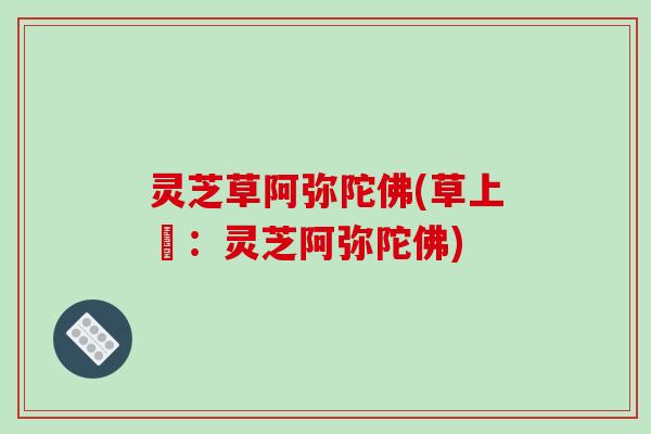 灵芝草阿弥陀佛(草上鮮：灵芝阿弥陀佛)