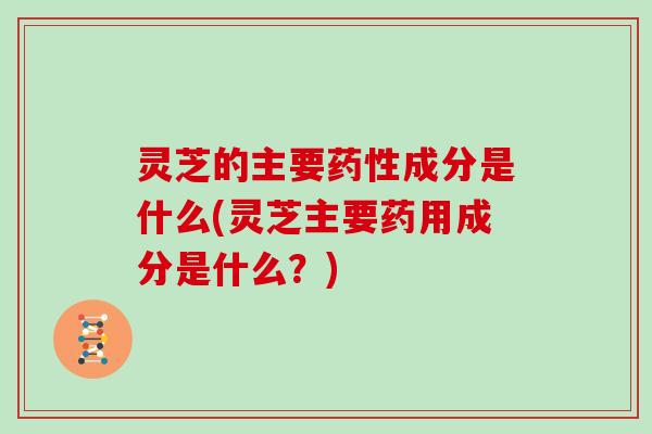 灵芝的主要成分是什么(灵芝主要药用成分是什么？)