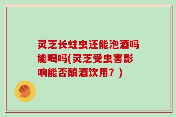 灵芝长蛀虫还能泡酒吗能喝吗(灵芝受虫害影响能否酿酒饮用？)