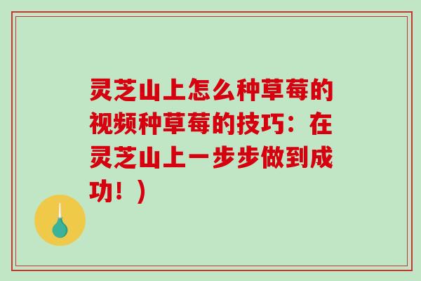 灵芝山上怎么种草莓的视频种草莓的技巧：在灵芝山上一步步做到成功！)