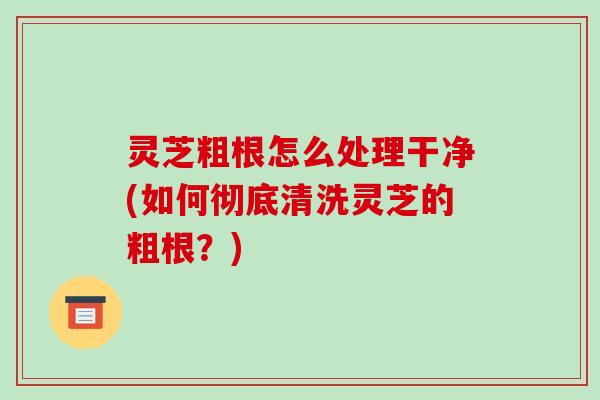 灵芝粗根怎么处理干净(如何彻底清洗灵芝的粗根？)