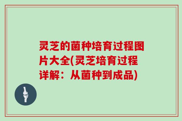 灵芝的菌种培育过程图片大全(灵芝培育过程详解：从菌种到成品)