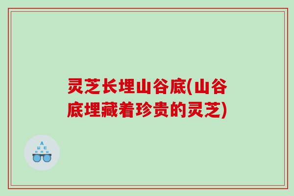 灵芝长埋山谷底(山谷底埋藏着珍贵的灵芝)