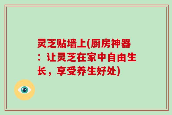 灵芝贴墙上(厨房神器：让灵芝在家中自由生长，享受养生好处)