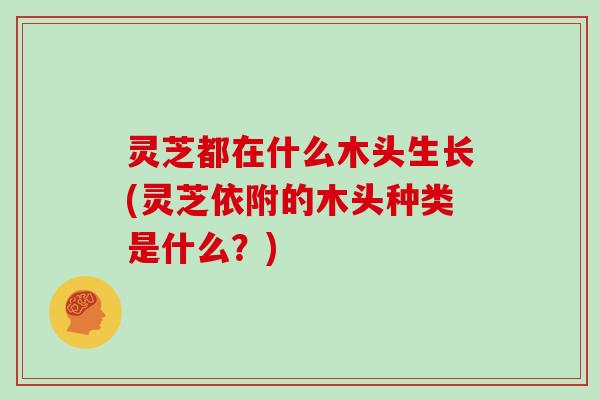 灵芝都在什么木头生长(灵芝依附的木头种类是什么？)