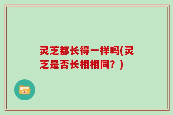 灵芝都长得一样吗(灵芝是否长相相同？)
