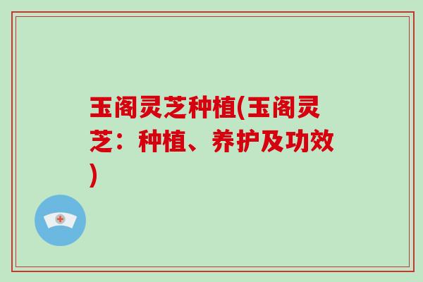 玉阁灵芝种植(玉阁灵芝：种植、养护及功效)