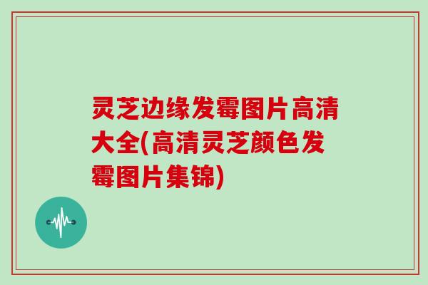 灵芝边缘发霉图片高清大全(高清灵芝颜色发霉图片集锦)