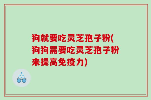狗就要吃灵芝孢子粉(狗狗需要吃灵芝孢子粉来提高免疫力)