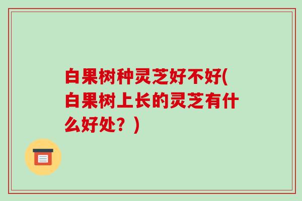 白果树种灵芝好不好(白果树上长的灵芝有什么好处？)