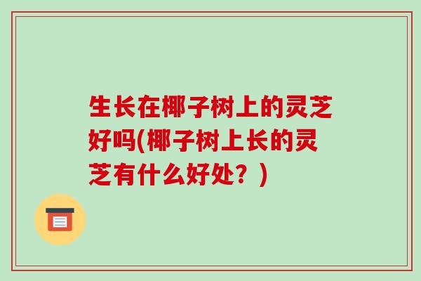 生长在椰子树上的灵芝好吗(椰子树上长的灵芝有什么好处？)