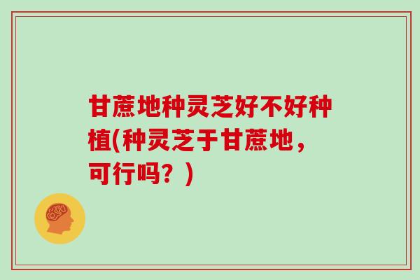 甘蔗地种灵芝好不好种植(种灵芝于甘蔗地，可行吗？)