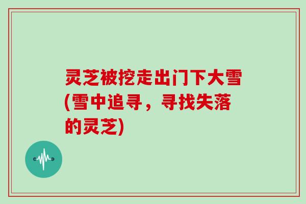 灵芝被挖走出门下大雪(雪中追寻，寻找失落的灵芝)